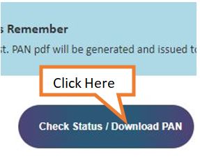 click on check status or download PAN