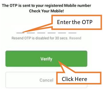 click on verify after entering the OTP