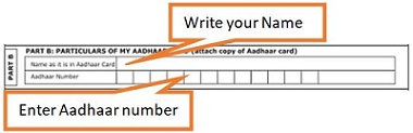 enter your Aadhaar details